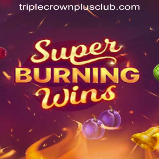 Exploring the Exciting World of SuperBurningWins at the TRIPLECROWNPLUS CLUB